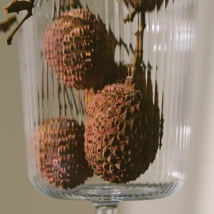 Clear Luisa Calice | Set of 2 - Image 4