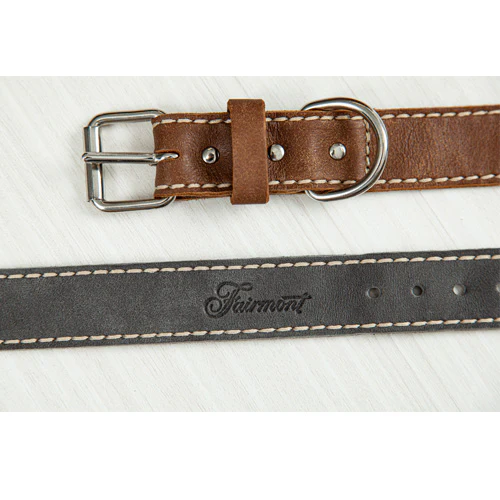 Fairmont Dog Collar - Tan - Image 5