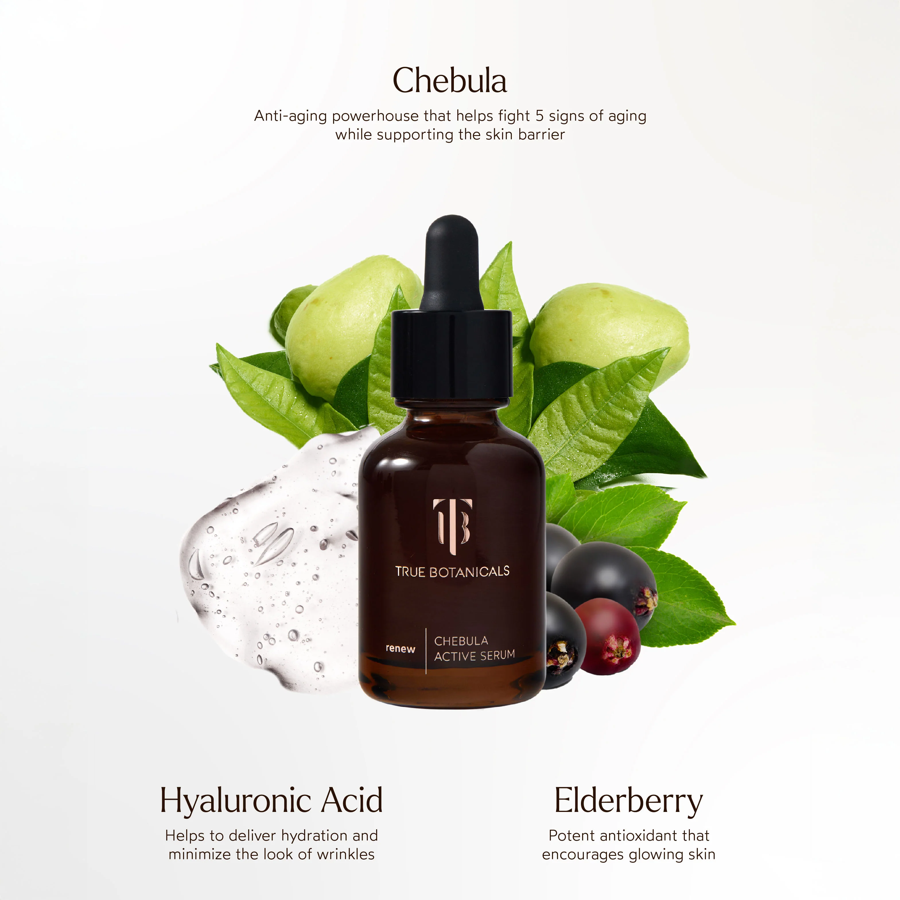 Renew Chebula Active Serum - Image 3