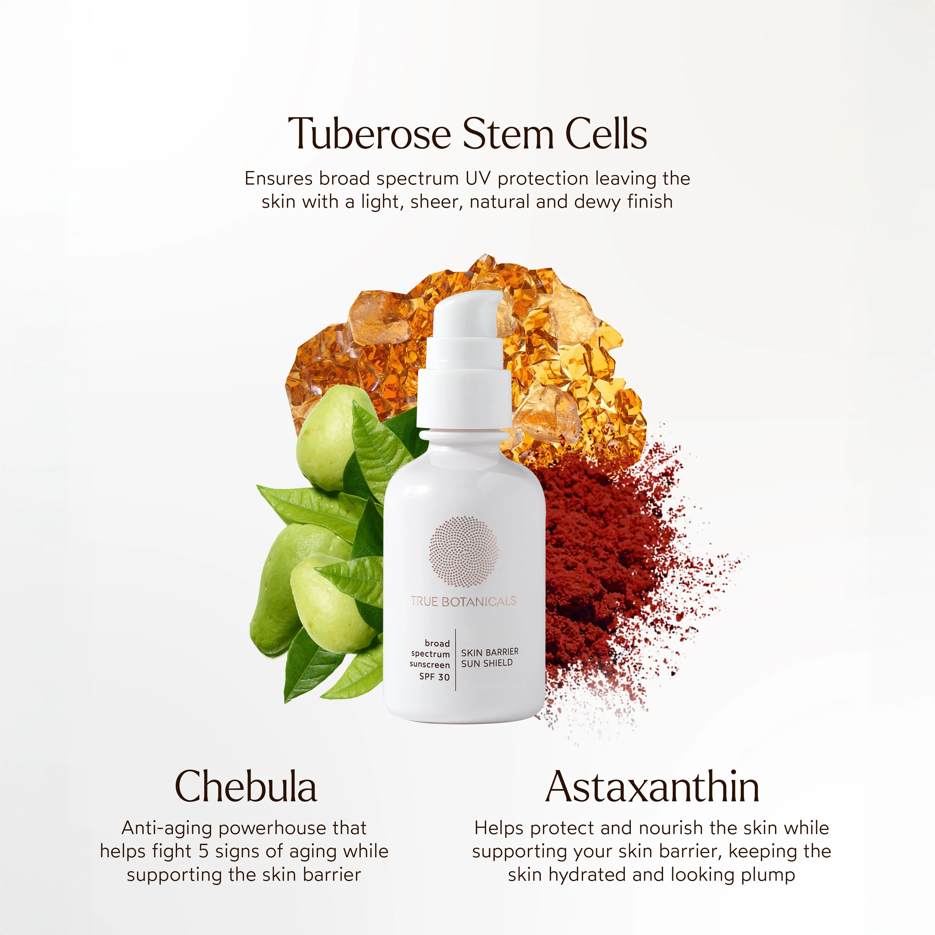 Skin Barrier Sun Shield SPF 30 - Image 3